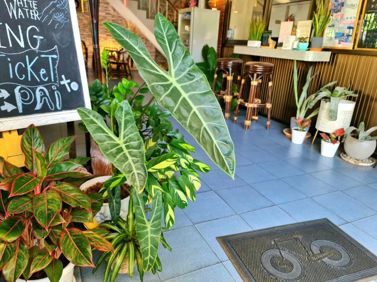Bed And Terrace Guesthouse Chiang Mai Ngoại thất bức ảnh