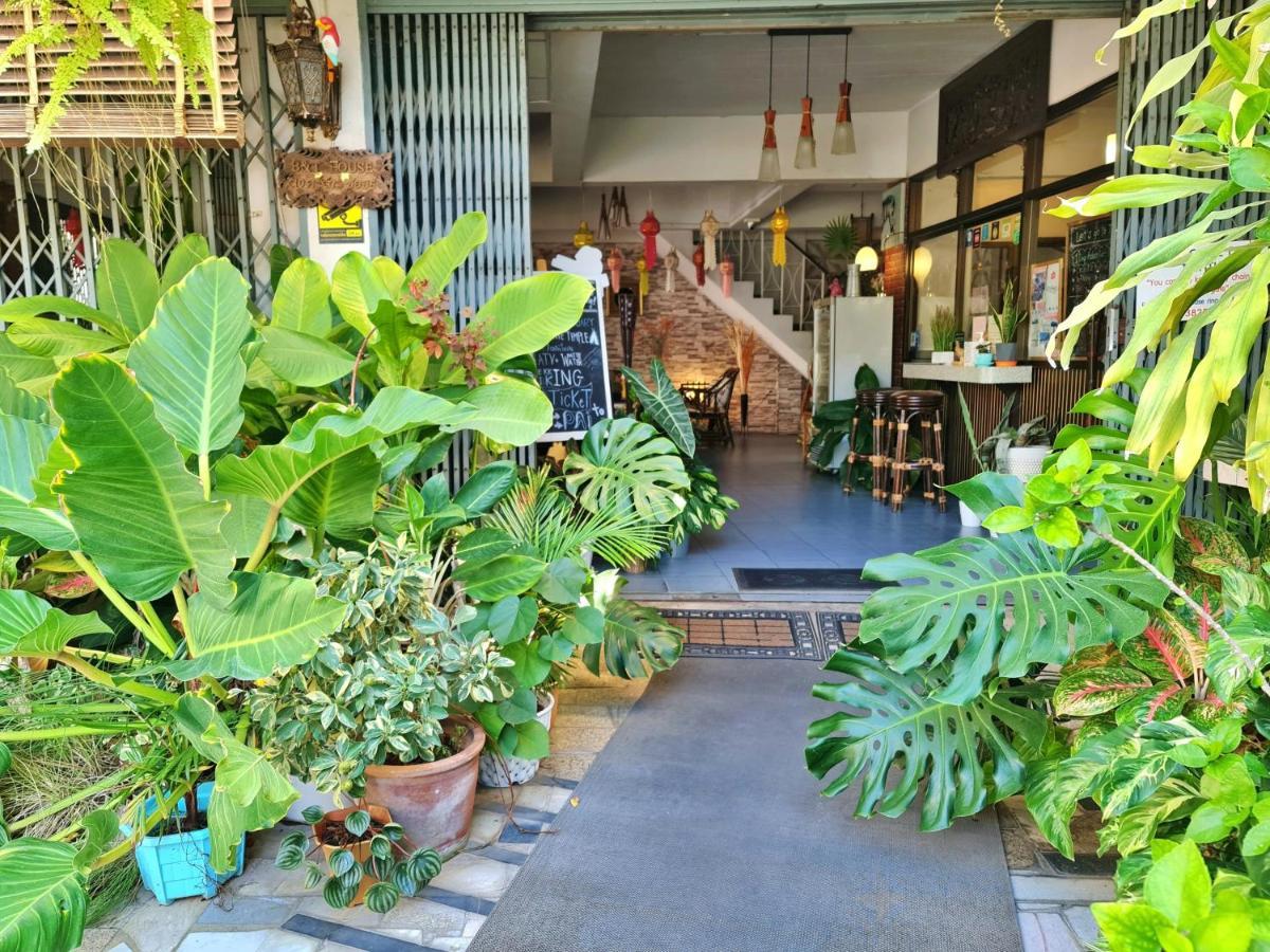 Bed And Terrace Guesthouse Chiang Mai Ngoại thất bức ảnh