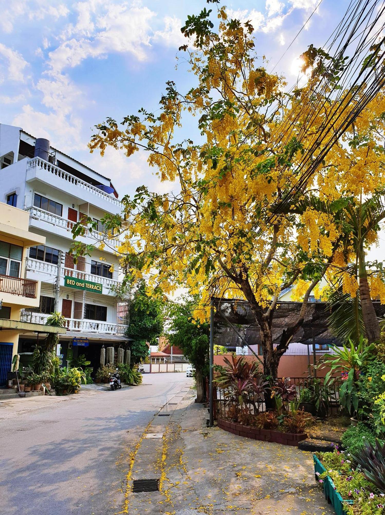 Bed And Terrace Guesthouse Chiang Mai Ngoại thất bức ảnh